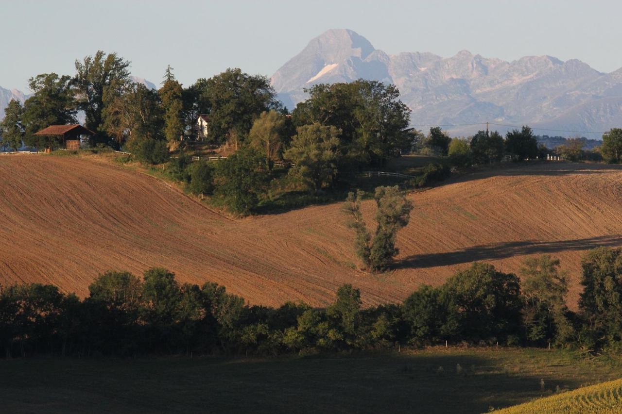 Gite Les Hauts Du Lac Carla-Bayle Buitenkant foto